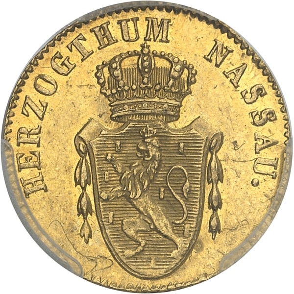 Lot 955