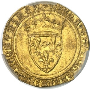 Lot 1204