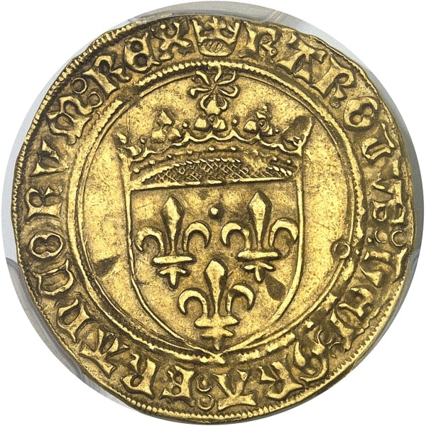 Lot 1237