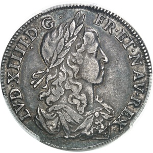 Lot 1336
