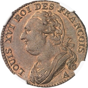 Lot 1445