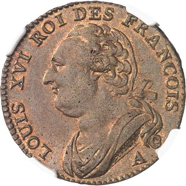 Lot 1445