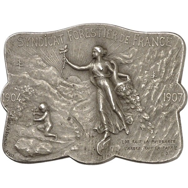 Lot 2009