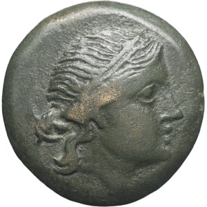 lot 6