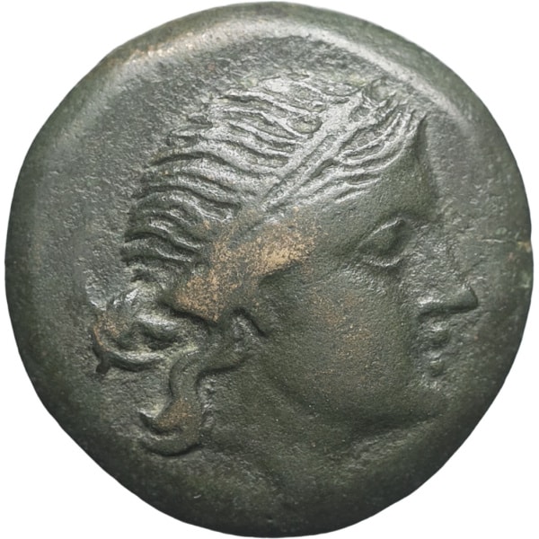 lot 6