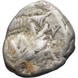 lot 7