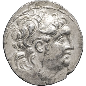 lot 16