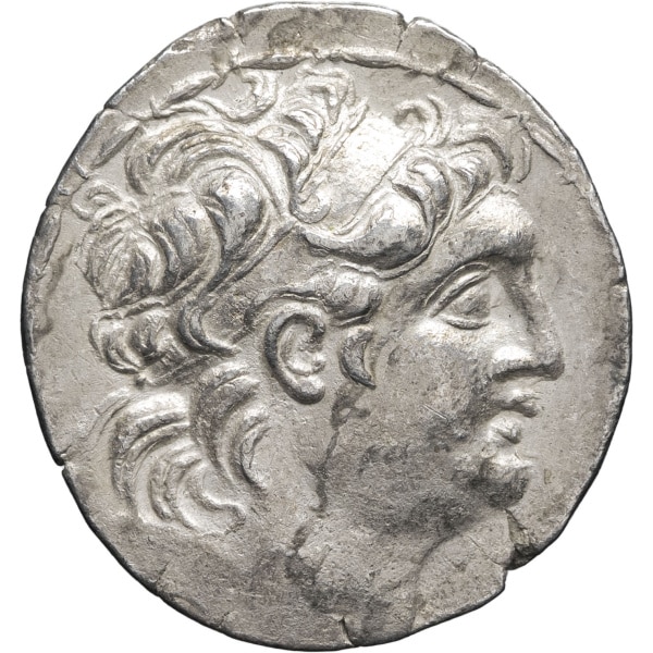lot 16
