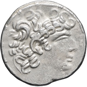 lot 19