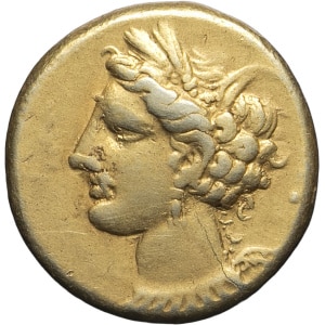 lot 26