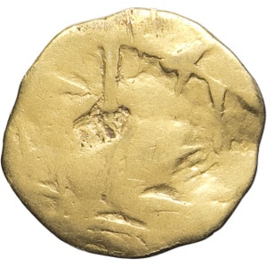 lot 31