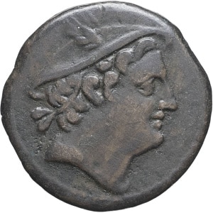 lot 50