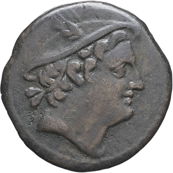 lot 50