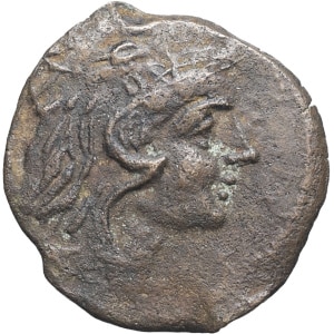 lot 53
