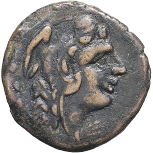 lot 55