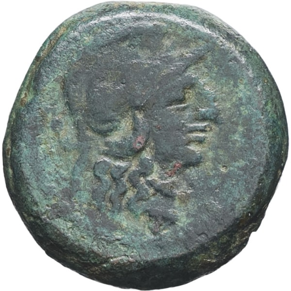 lot 64