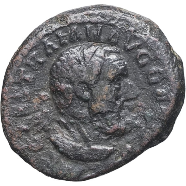 lot 105