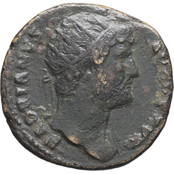 lot 115