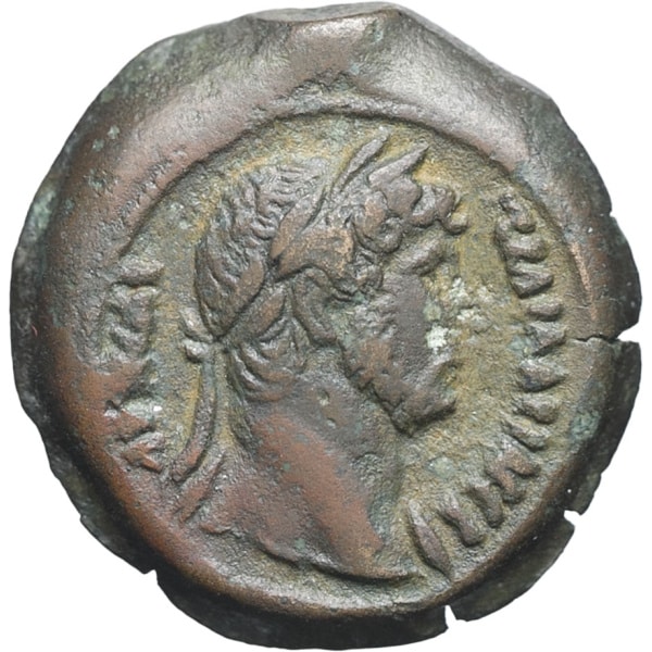 lot 120