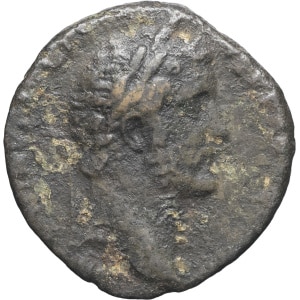 lot 128