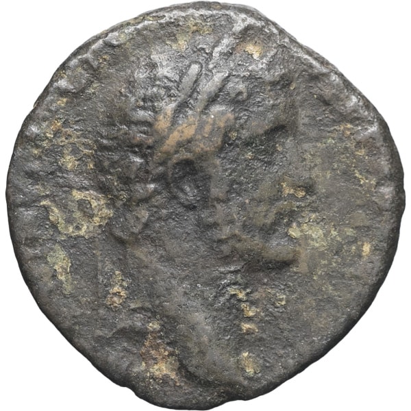 lot 128
