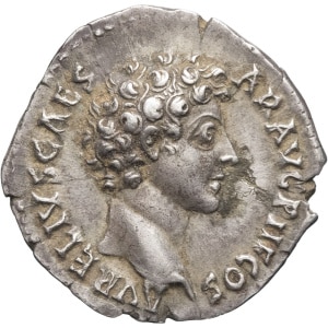 lot 144
