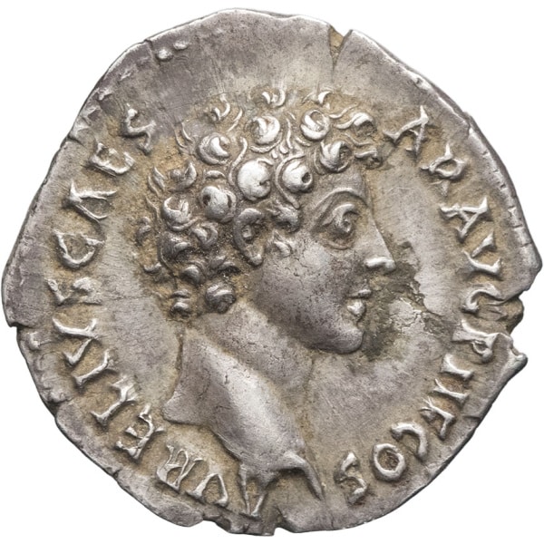 lot 144