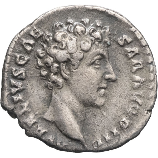 lot 145