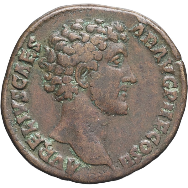 lot 146