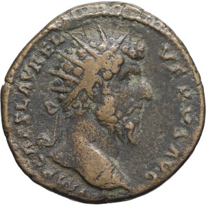 lot 155