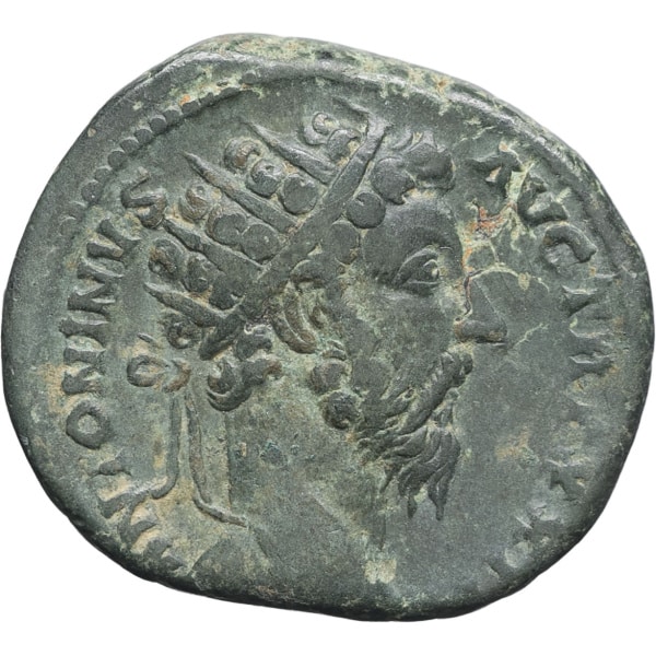 lot 156