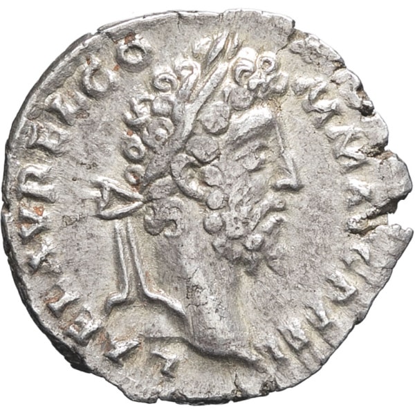 lot 168