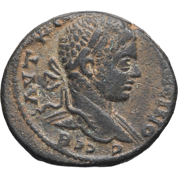 lot 181