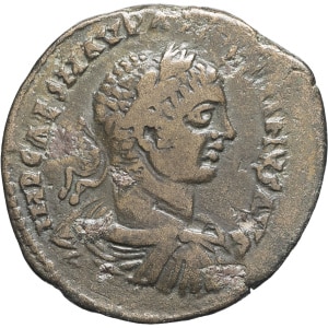 lot 184