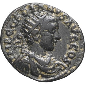 lot 213