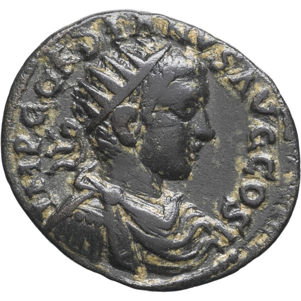 lot 213