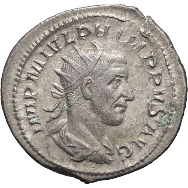 lot 215