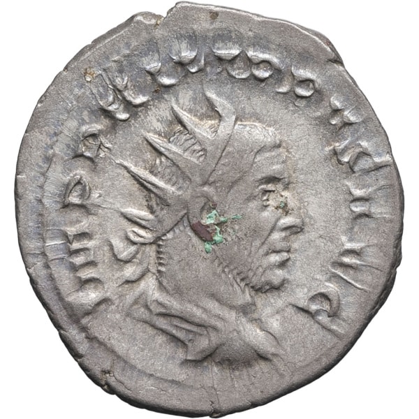 lot 216