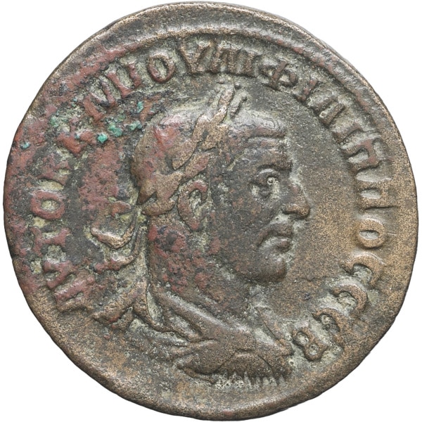 lot 223