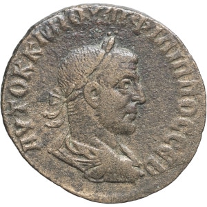 lot 224
