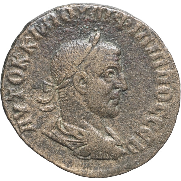 lot 224