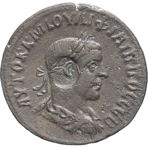 lot 229