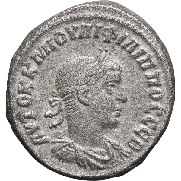 lot 230