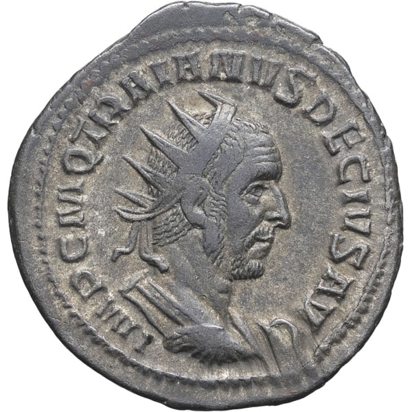 lot 237