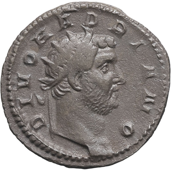 lot 238