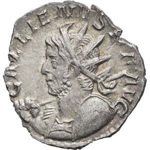 lot 243