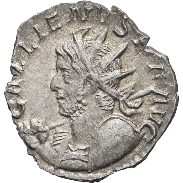 lot 243