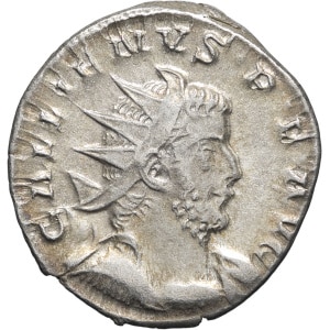 lot 244
