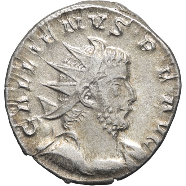 lot 244