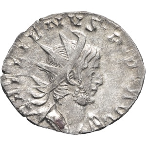 lot 246